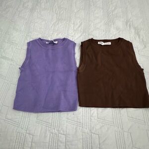 Zara Purple and Brown Crop Tops
